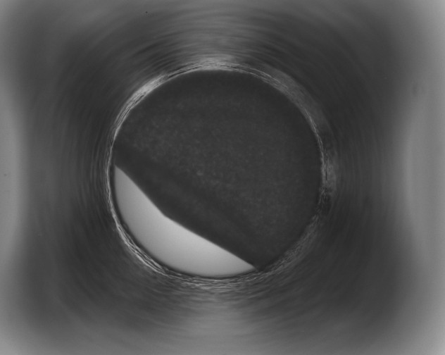 X0000103320954200810060952