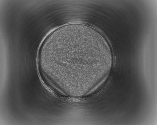 X0000103320955200810060952