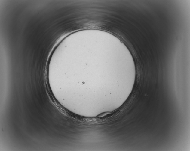 X0000103320956200810060952