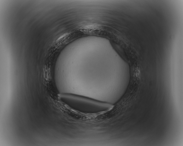 X0000103320965200810060951