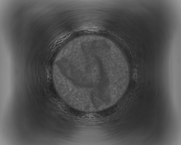 X0000103320966200810060951