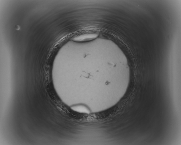 X0000103320968200810060951