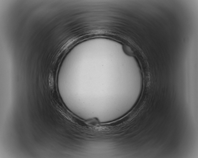 X0000103320969200810060951