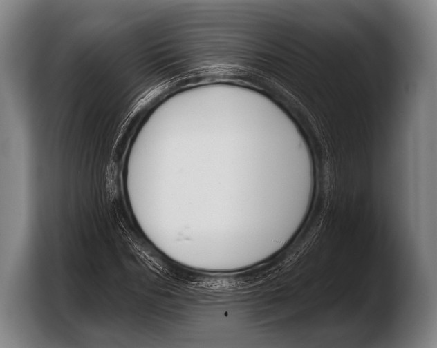 X0000103320970200810060951