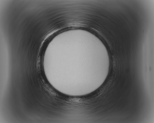 X0000103320971200810060951