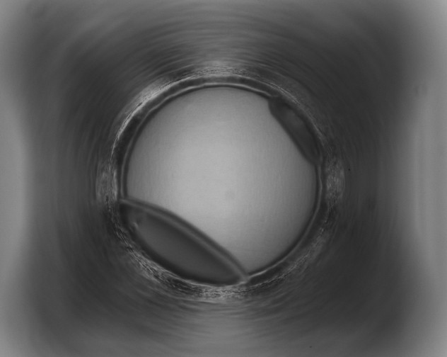 X0000103320973200810060951