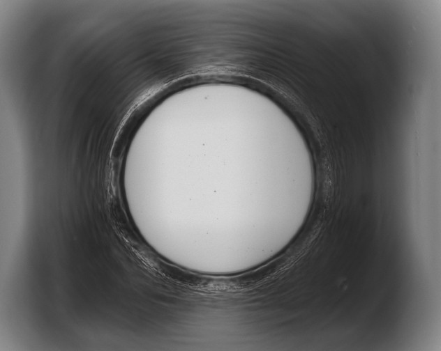 X0000103320974200810060951