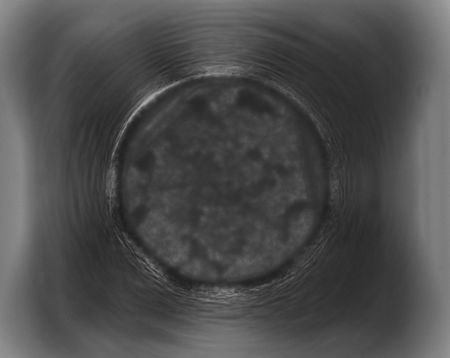 X0000103320975200810060951