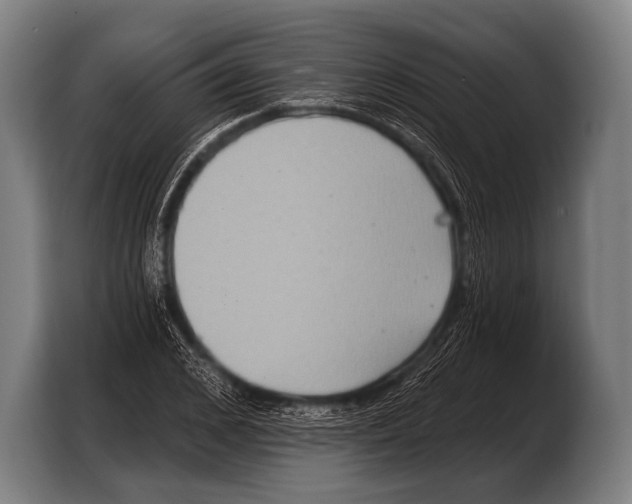 X0000103320976200810060951