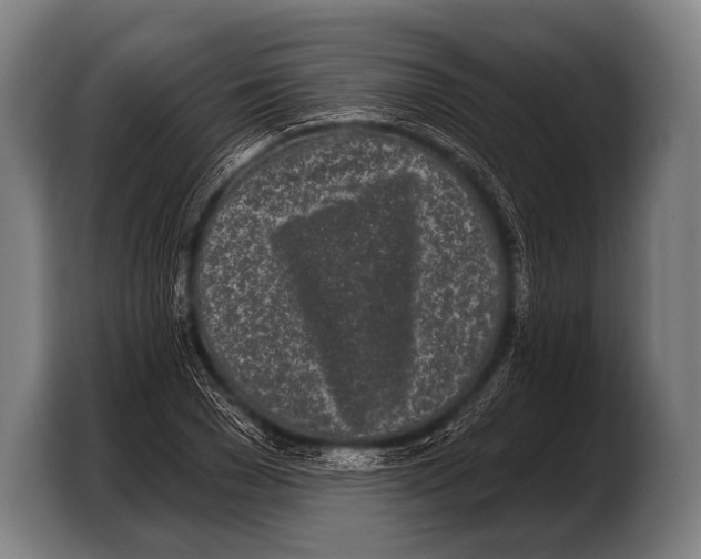 X0000103320977200810060951