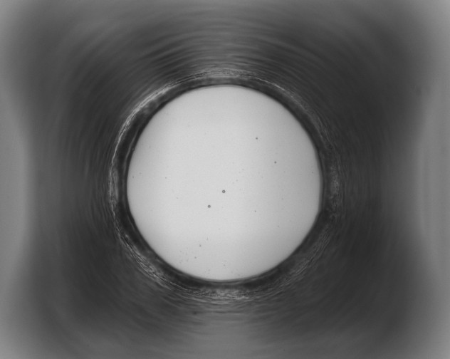 X0000103320979200810060951