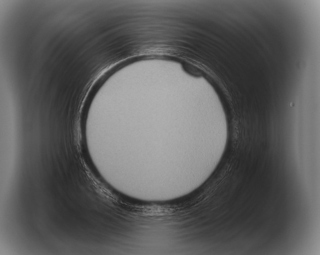 X0000103320980200810060951