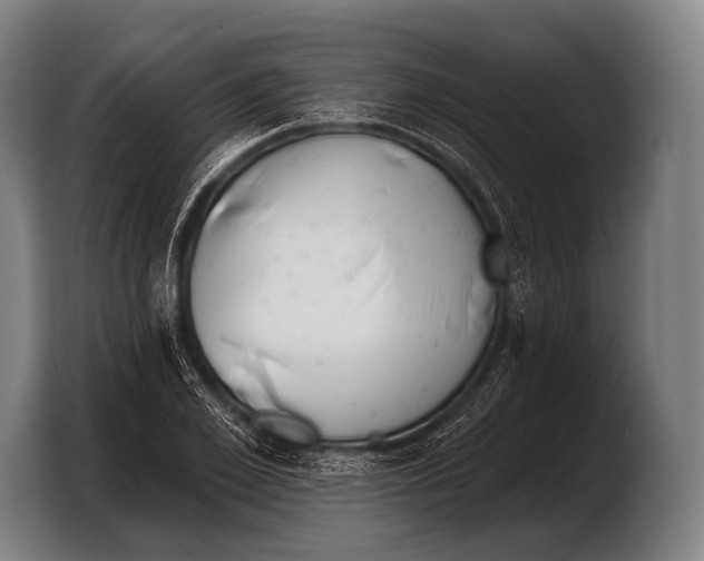 X0000103320981200810060951