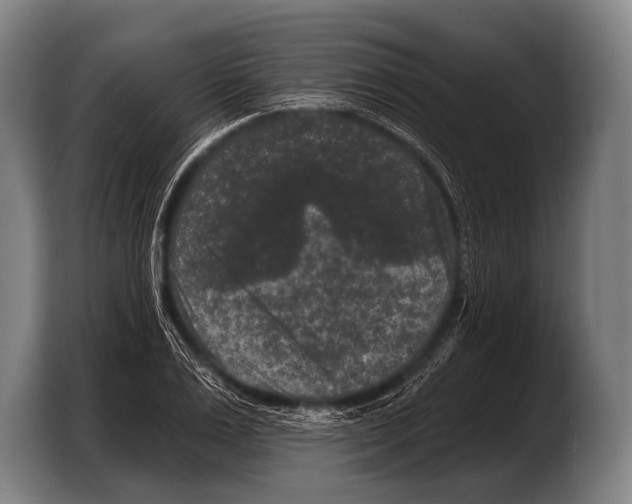 X0000103320983200810060951