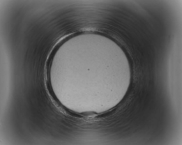X0000103320984200810060951