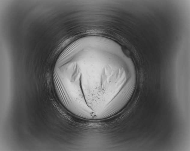 X0000103320985200810060951