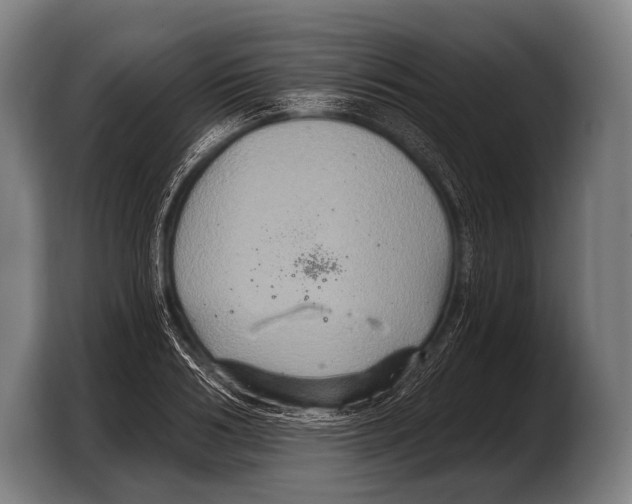 X0000103320986200810060951