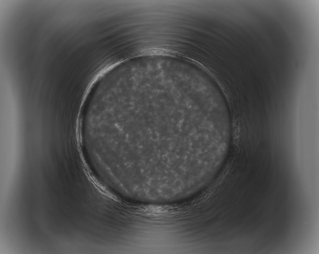 X0000103320987200810060951