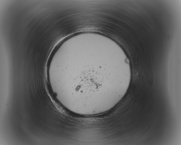 X0000103320988200810060951