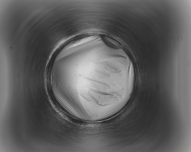 X0000103320989200810060951