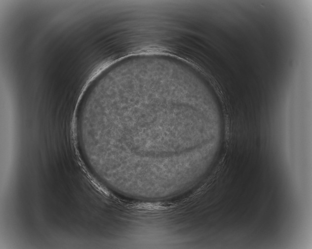 X0000103320990200810060951
