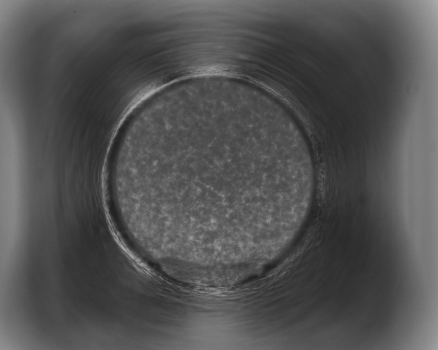 X0000103320991200810060951