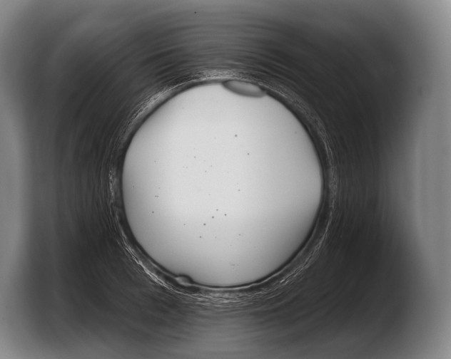 X0000103320993200810060951