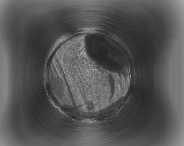 X0000103320994200810060951