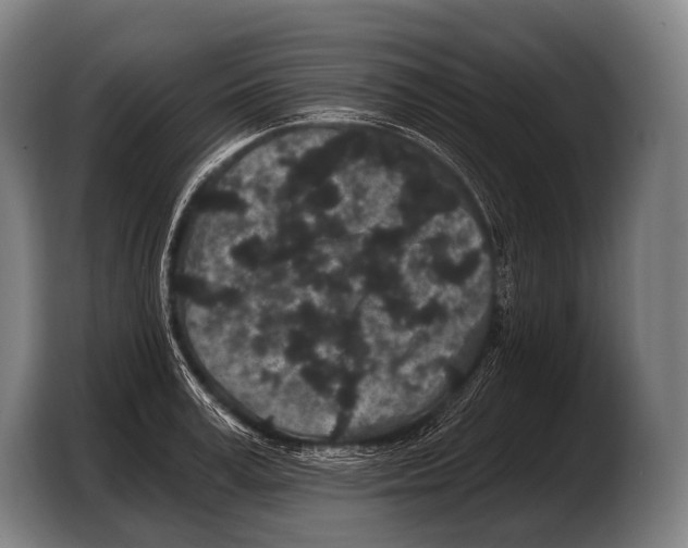 X0000103320995200810060951