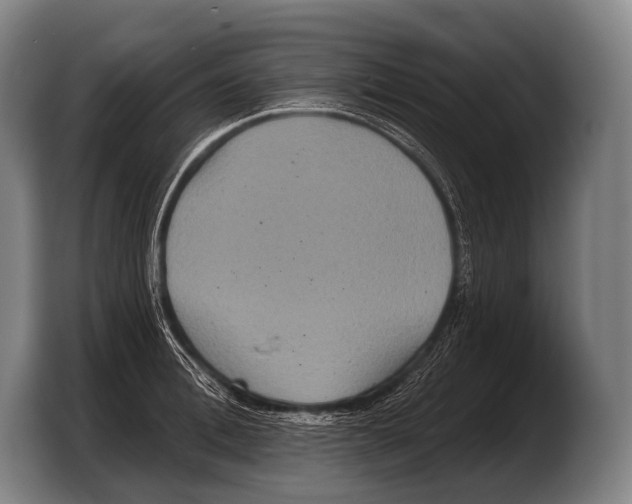 X0000103320996200810060951