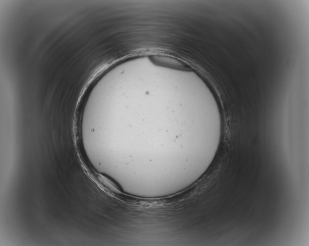 X0000103320997200810060951