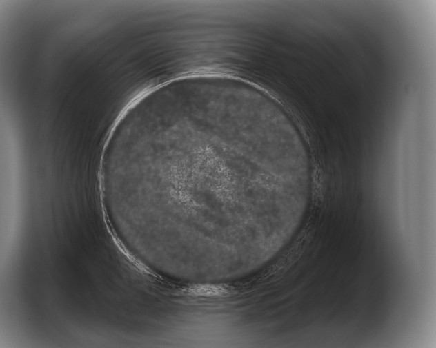 X0000103320998200810060951