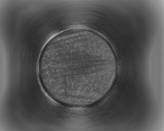 X0000103320999200810060951