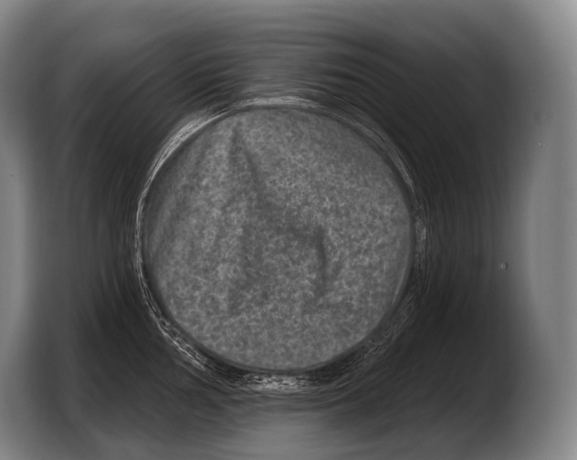 X0000103321002200810060951