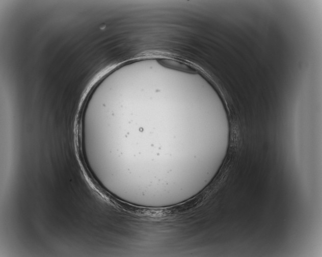X0000103321003200810060951