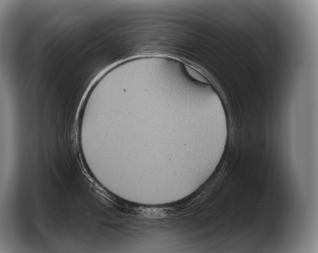 X0000103321004200810060951