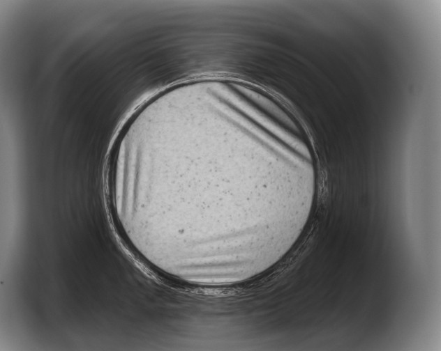 X0000103321005200810060951