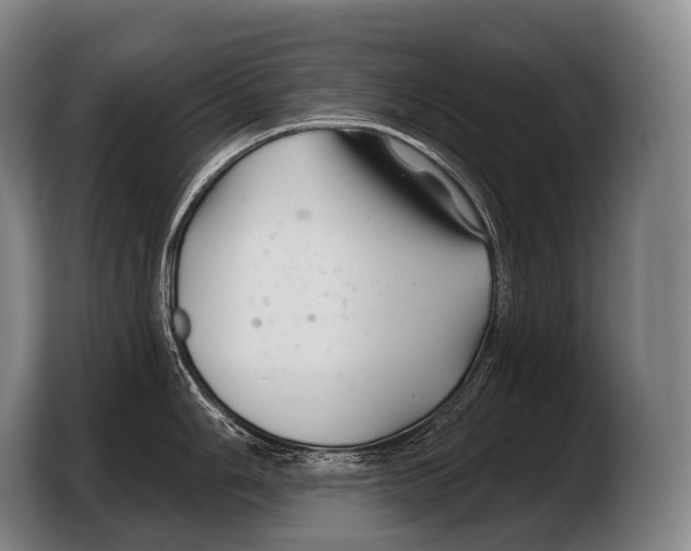 X0000103321006200810060951