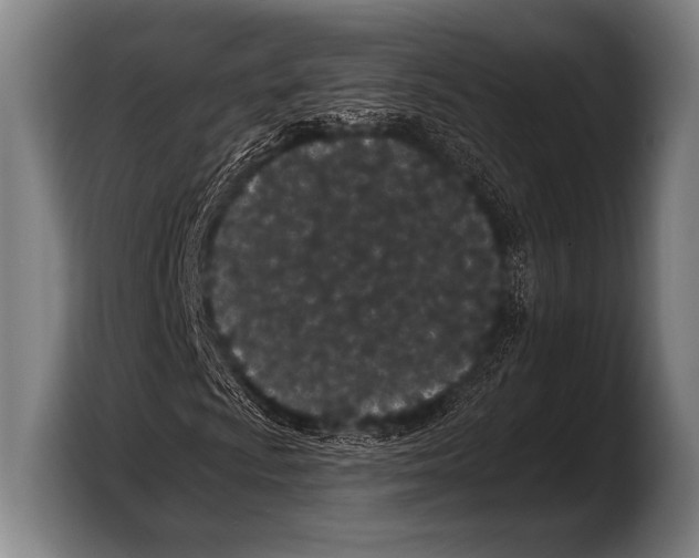 X0000103321009200810060950
