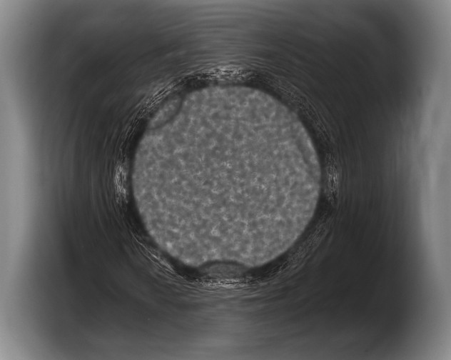 X0000103321010200810060950