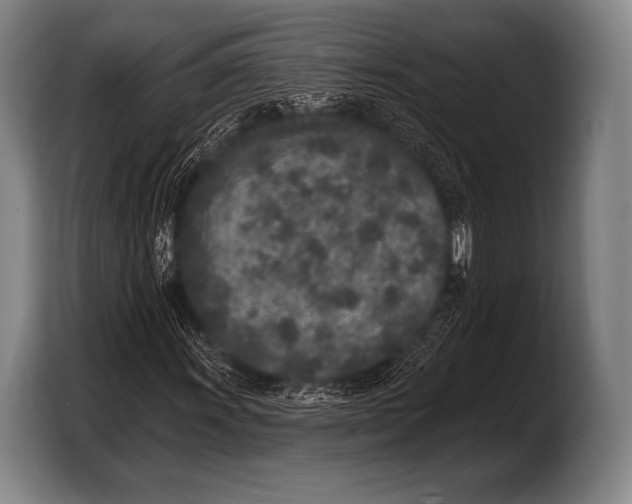 X0000103321011200810060950