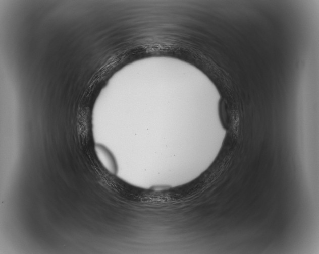 X0000103321012200810060950