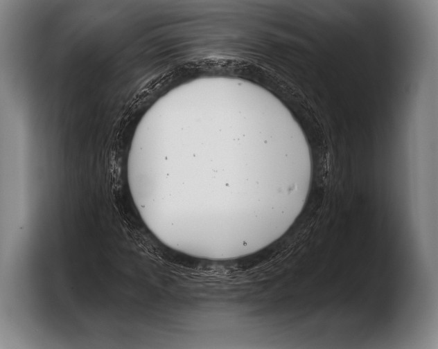 X0000103321013200810060950