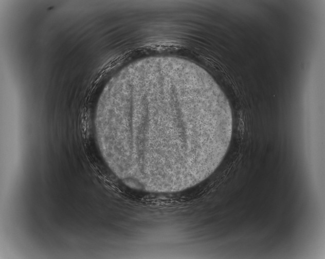 X0000103321014200810060950
