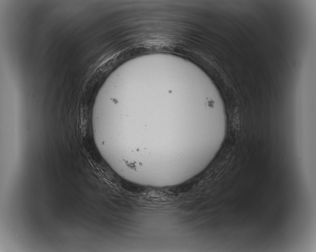 X0000103321015200810060950