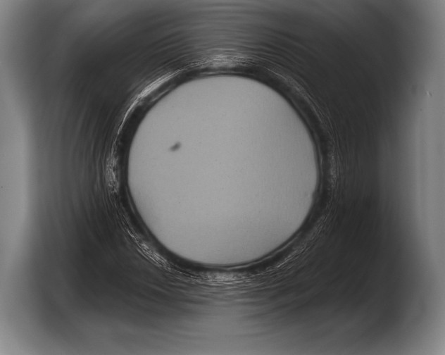 X0000103321018200810060950