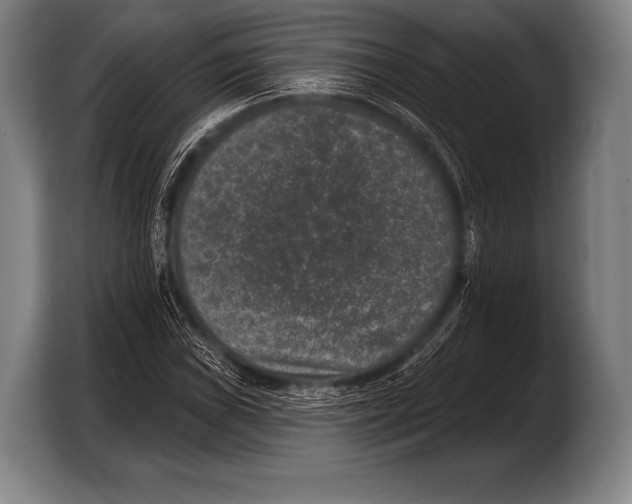 X0000103321019200810060950