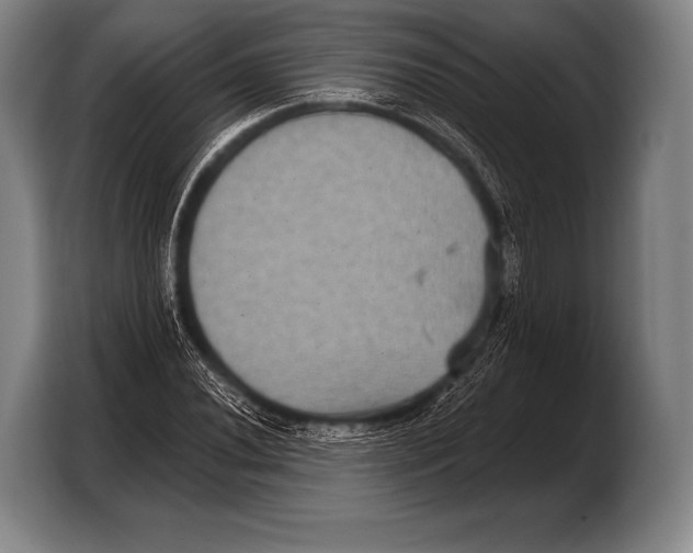 X0000103321020200810060950