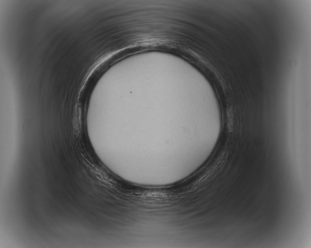 X0000103321021200810060950