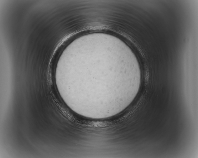 X0000103321022200810060950